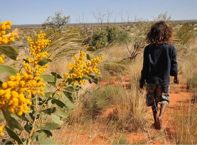 Indigenous child walking through a red-dirt and scrub landscape.